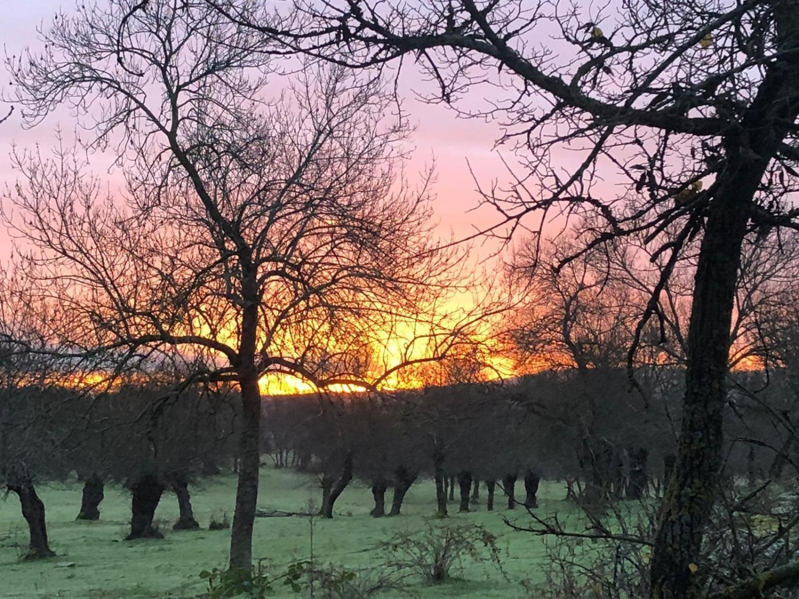 Alojamiento Rural El Petirrojo Cerceda  Exteriör bild